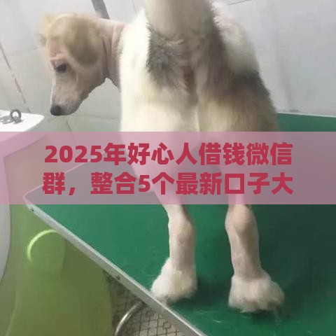 2025年好心人借钱微信群，整合5个最新口子大全