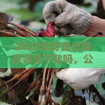 2025年好宜分期开会员下款吗，公布5个最新有车在平台好贷款