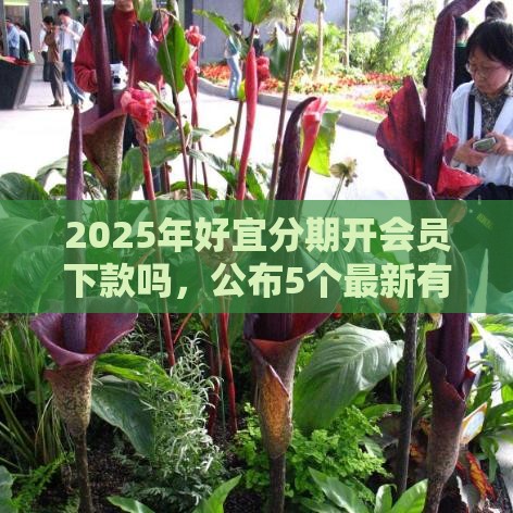 2025年好宜分期开会员下款吗，公布5个最新有车在平台好贷款