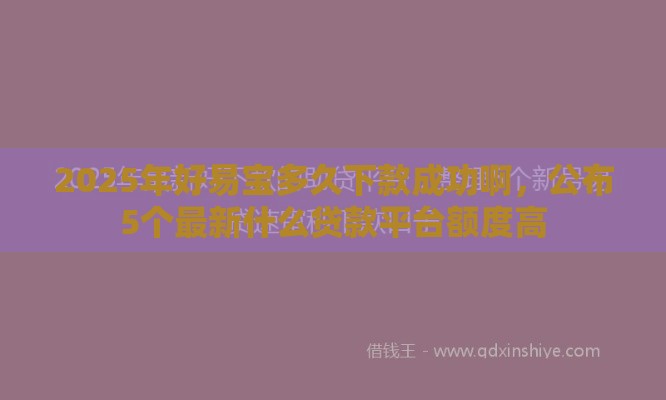 2025年好易宝多久下款成功啊，公布5个最新什么贷款平台额度高