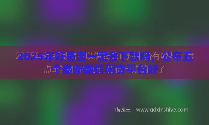 2025年好易宝一定会下款吗，公布五个最新微信网贷平台好