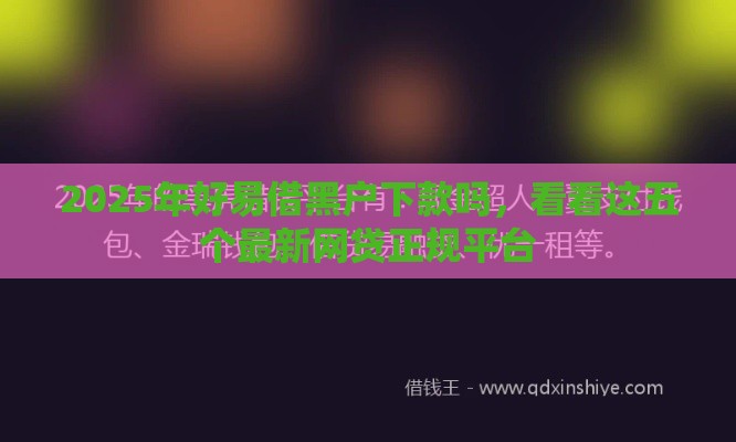 2025年好易借黑户下款吗，看看这五个最新网贷正规平台