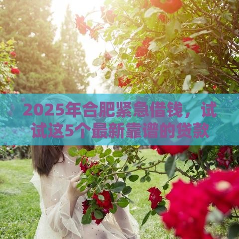 2025年合肥紧急借钱，试试这5个最新靠谱的贷款平台