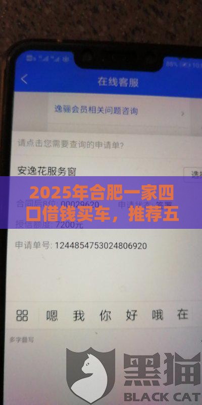2025年合肥一家四口借钱买车，推荐五个最新黑户逾期借款平台