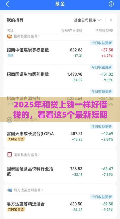 2025年和贷上钱一样好借钱的，看看这5个最新短期网贷平台哪些好借