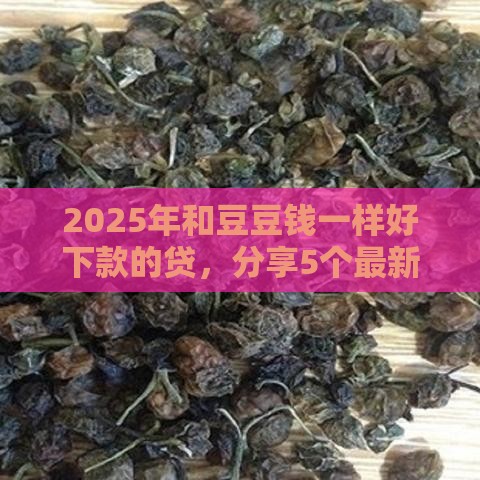 2025年和豆豆钱一样好下款的贷，分享5个最新黑口子贷款秒过的口子