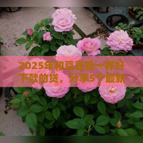 2025年和豆豆钱一样好下款的贷，分享5个最新黑口子贷款秒过的口子