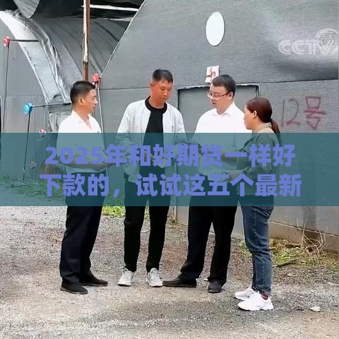 2025年和好期贷一样好下款的，试试这五个最新抵押贷款平台