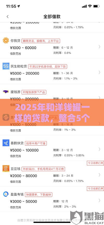 2025年和洋钱罐一样的贷款，整合5个最新靠谱借钱平台