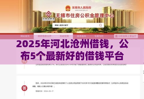 2025年河北沧州借钱，公布5个最新好的借钱平台
