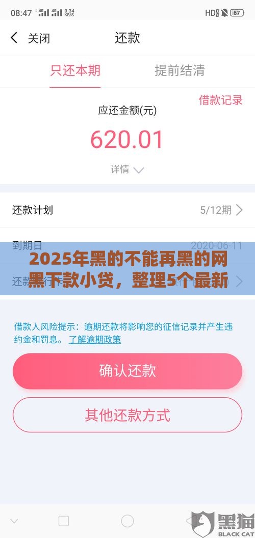 2025年黑的不能再黑的网黑下款小贷，整理5个最新官方网贷平台好