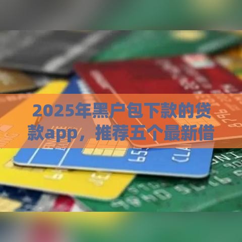 2025年黑户包下款的贷款app，推荐五个最新借钱平台利息最低