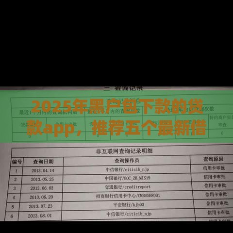 2025年黑户包下款的贷款app，推荐五个最新借钱平台利息最低