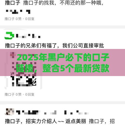 2025年黑户必下的口子链接，整合5个最新贷款十大平台
