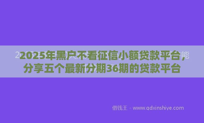 2025年黑户不看征信小额贷款平台，分享五个最新分期36期的贷款平台