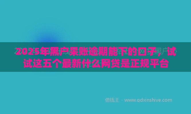 2025年黑户呆账逾期能下的口子，试试这五个最新什么网贷是正规平台