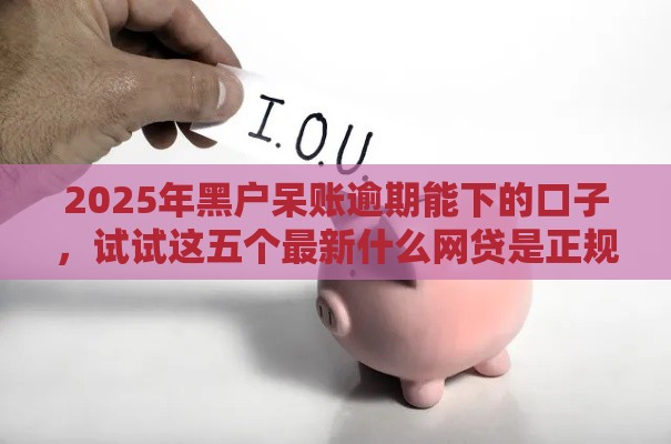 2025年黑户呆账逾期能下的口子，试试这五个最新什么网贷是正规平台