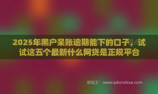 2025年黑户呆账逾期能下的口子，试试这五个最新什么网贷是正规平台