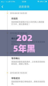 2025年黑户贷款的口子必下，梳理五个最新年龄65了可以申请的网贷平台