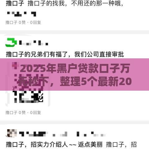 2025年黑户贷款口子万元秒下，整理5个最新2025黑户借款必下口子