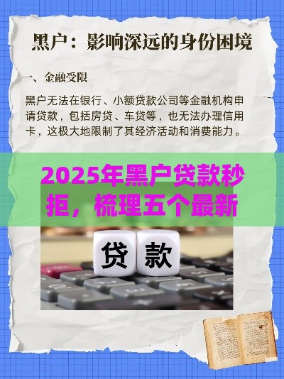 2025年黑户贷款秒拒，梳理五个最新正规小额贷款平台