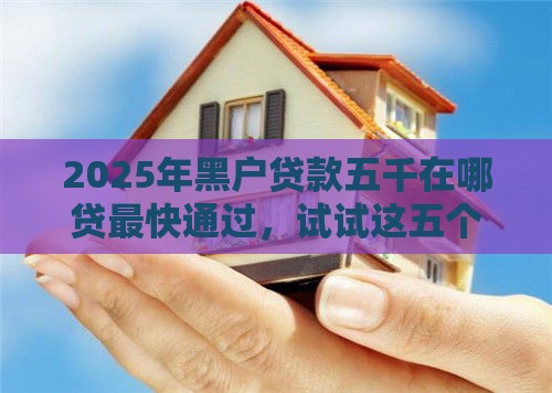 2025年黑户贷款五千在哪贷最快通过，试试这五个最新贷款平台好