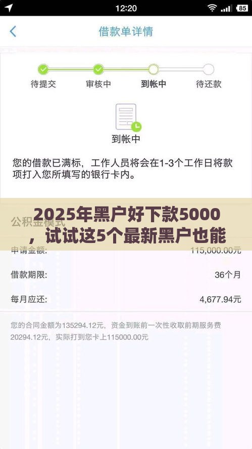 2025年黑户好下款5000，试试这5个最新黑户也能借款的网贷平台