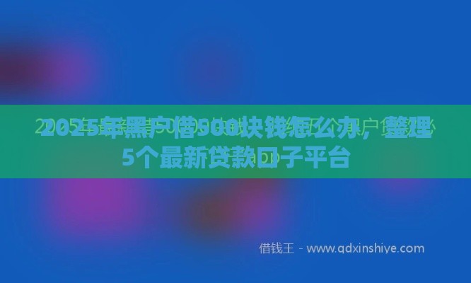 2025年黑户借500块钱怎么办，整理5个最新贷款口子平台