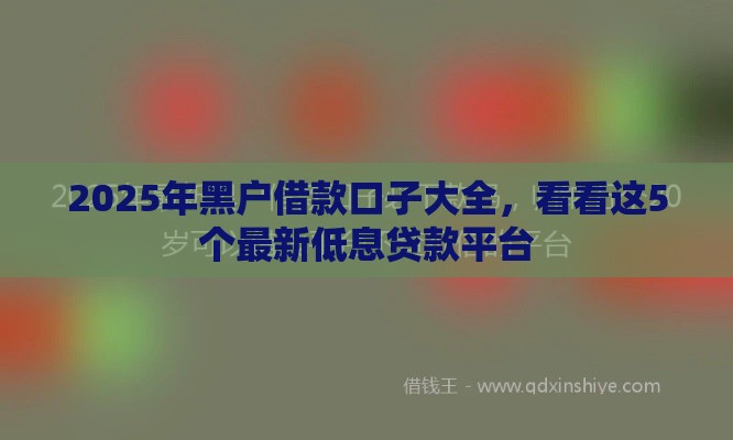 2025年黑户借款口子大全，看看这5个最新低息贷款平台