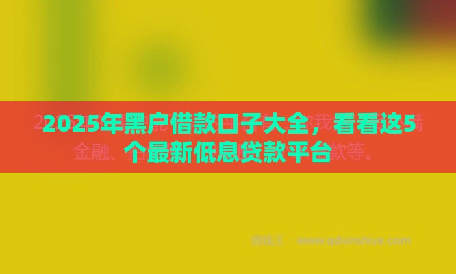 2025年黑户借款口子大全，看看这5个最新低息贷款平台