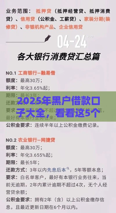 2025年黑户借款口子大全，看看这5个最新低息贷款平台