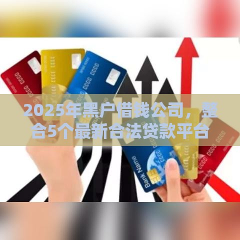 2025年黑户借钱公司，整合5个最新合法贷款平台