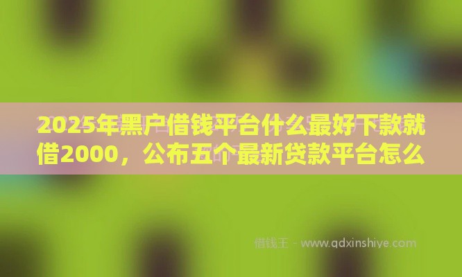 2025年黑户借钱平台什么最好下款就借2000，公布五个最新贷款平台怎么投诉