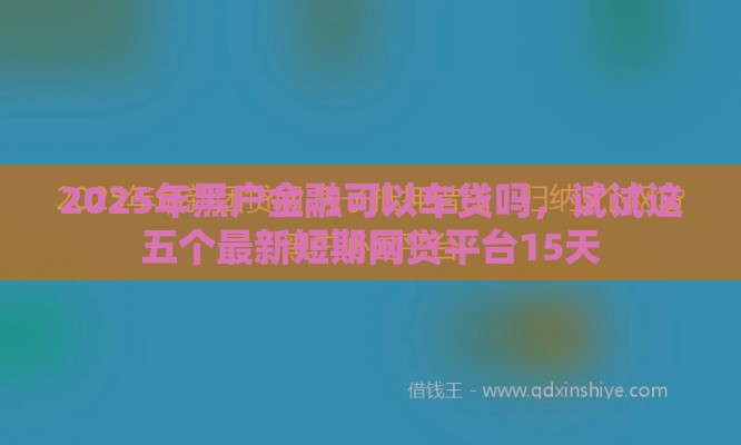 2025年黑户金融可以车贷吗，试试这五个最新短期网贷平台15天
