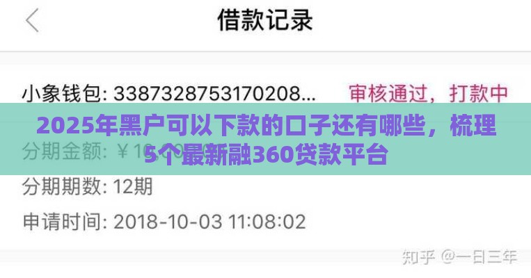 2025年黑户可以下款的口子还有哪些，梳理5个最新融360贷款平台
