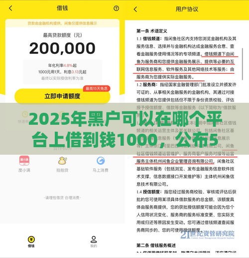 2025年黑户可以在哪个平台上借到钱1000，公布5个最新贷款推荐平台