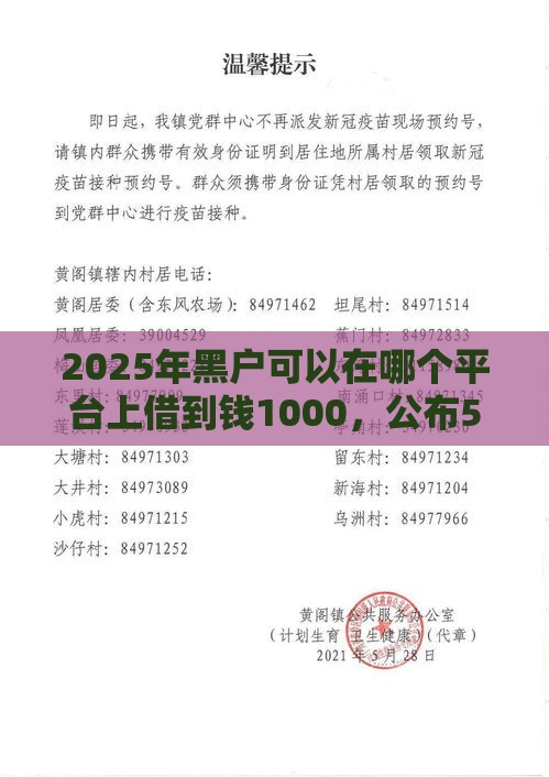 2025年黑户可以在哪个平台上借到钱1000，公布5个最新贷款推荐平台