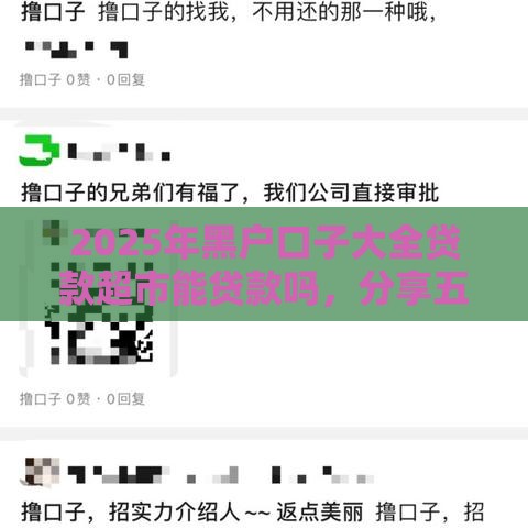 2025年黑户口子大全贷款超市能贷款吗，分享五个最新黑户下钱的口子