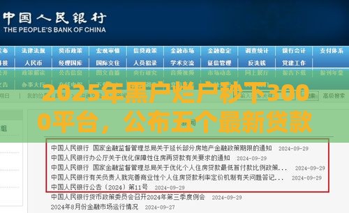 2025年黑户烂户秒下3000平台，公布五个最新贷款利息低的平台正规