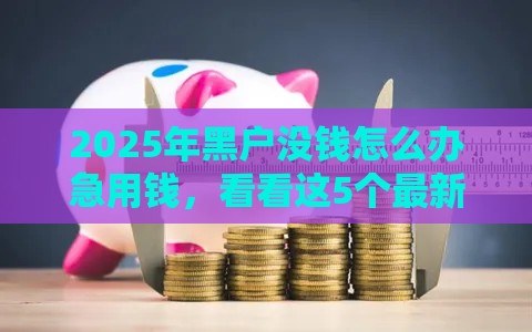 2025年黑户没钱怎么办急用钱，看看这5个最新正规可靠的贷款平台