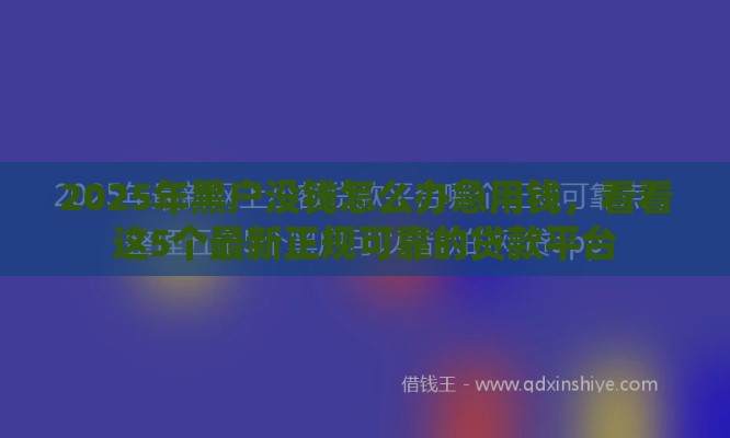 2025年黑户没钱怎么办急用钱，看看这5个最新正规可靠的贷款平台