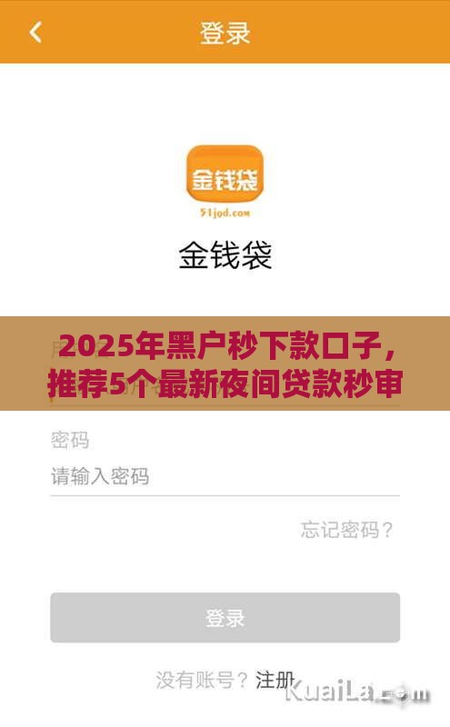 2025年黑户秒下款口子，推荐5个最新夜间贷款秒审核秒下款的平台