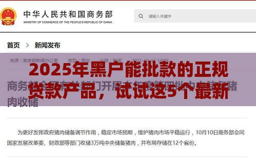 2025年黑户能批款的正规贷款产品，试试这5个最新网络借钱平台