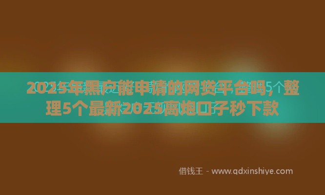 2025年黑户能申请的网贷平台吗，整理5个最新2025高炮口子秒下款