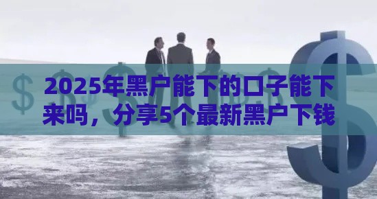 2025年黑户能下的口子能下来吗，分享5个最新黑户下钱的口子