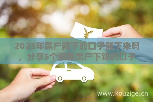 2025年黑户能下的口子能下来吗，分享5个最新黑户下钱的口子