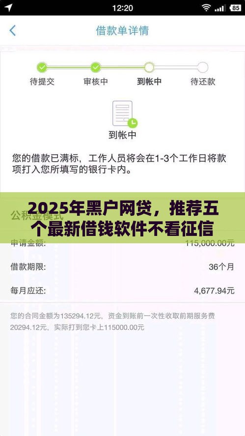 2025年黑户网贷，推荐五个最新借钱软件不看征信的容易下款的