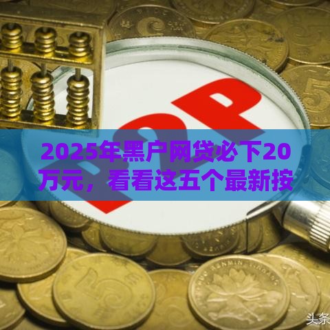2025年黑户网贷必下20万元，看看这五个最新按揭车贷款平台