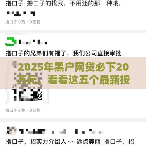 2025年黑户网贷必下20万元，看看这五个最新按揭车贷款平台