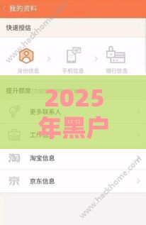 2025年黑户下款1000的口子，看看这5个最新贷款买车平台